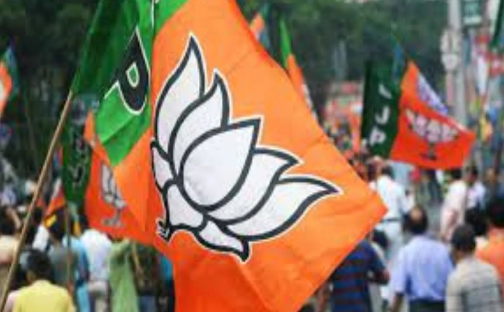 bjp
